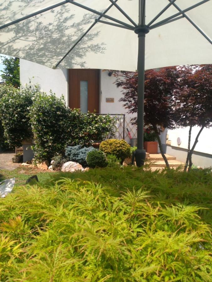 Bed and Breakfast Le Betulle Zanica Екстер'єр фото