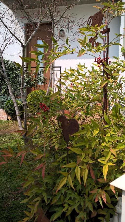 Bed and Breakfast Le Betulle Zanica Екстер'єр фото